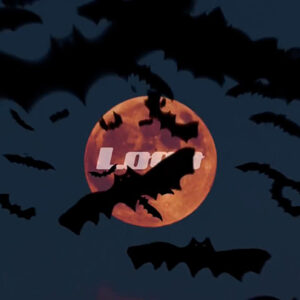 تصویر دانلود پروژه آماده پریمیر - لوگو Halloween Bats Logo Reveal